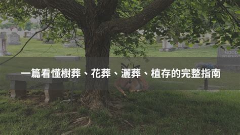 花蓮樹葬|2025全台最完整環保葬攻略！費用、地點及申請方式一覽｜金麟 